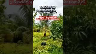 4.5 Acre Fully Developed Farmland sale in Mysore T narasipura , Charan 7338474634