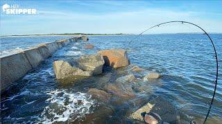 Jetty Fishing for OVERSIZED FISH - Put Myself in DANGER for This! | CATCH AND EAT