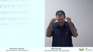 "הצל שלי ואני יצאנו לדרך": ניגוד עניינין ביני לביני - עמית וולק