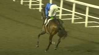 OPERA BALLO 20/1 for 2000 Guineas after explosive debut | Racing TV