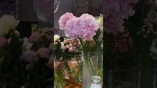 У нас розовое настроение  А какие цветы любите вы?)