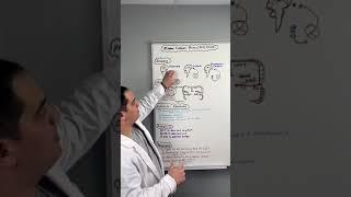 Ischemic Stroke | Middle Cerebral Artery Stroke (MCA) #shorts