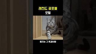 레전드 공포썰 [모텔]