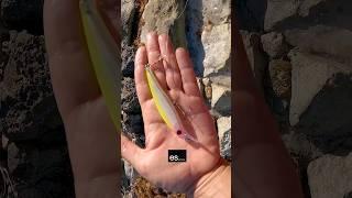 Tips para pesca Señuelos 