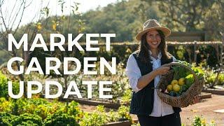 Winter Market Garden Update