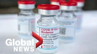 COVID-19: Canada's Moderna vaccines risk expiring due to hesitancy and preferences