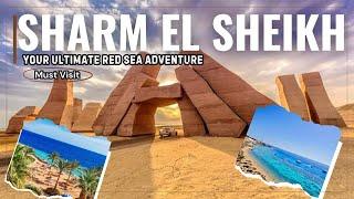 How to Experience the Best of Sharm El Sheikh!  Ultimate Travel Guide️