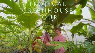 Tropical greenhouse tour in Germany | Samuel Ford