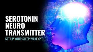 Serotonin Neurotransmitter | Improve Your Circadian Rhythm | Set Up Your Sleep Wake Cycle | 528 Hz