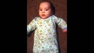 Seven week old Brock Flapping Arms