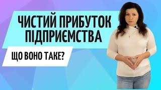 Що таке чистий прибуток Консультація бухгалтера Zrobleno