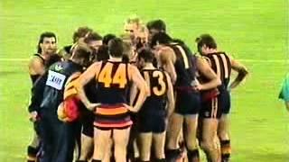 1991 AFL - ROUND 1 - ADELAIDE CROWS V HAWTHORN