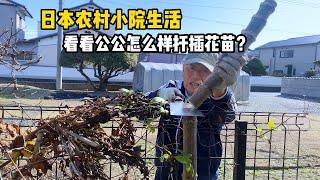 日本農村小院生活，看看日本公公如何扡插花苗？