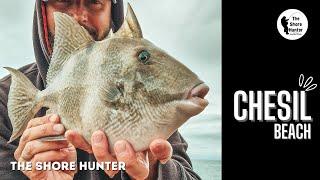 UK Beach Fishing, Chesil Beach Fishing. Trigger Fish, Bream & Bass (The Shorehunter) Wayne Hand