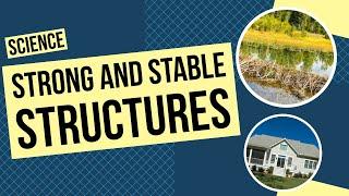 All About Strong and Stable Structures