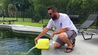 Tips On Green Pool Cleaning