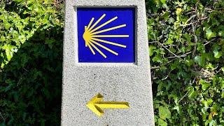 Roamer on the Camino de Santiago, Camino Frances  2024 Day 7