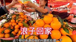 床车自驾，木公与汪汪妹分开，各奔东西，各回各家是为了什么【汪汪妹流浪记】
