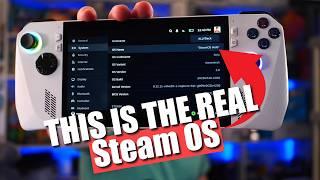 REAL Steam OS on Asus ROG ALLY