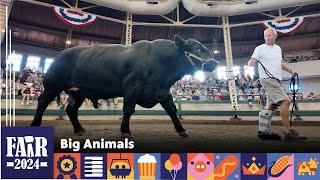 Big Animals – Fair 2024