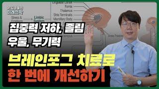 어느날 갑자기 내 머리가 이상해진 것 같다면?! 집중력 저하, 졸림, 우울, 무기력 '브레인포그' 치료로 한 번에 개선하기 (뇌인지, 집중력 개선 프로그램 - 1부)