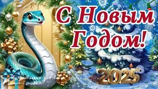  С Новым 2025 годом! С годом Змеи! Супер Новогодняя Зажигательная Песня!  #новый2025год