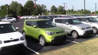 Kia Findlay Location Video