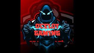 Intro / Ocelot Gaming Hd