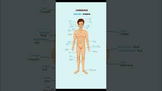 English to Sherpa Language: Body Parts