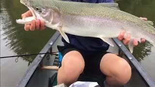 Steelhead Fishing- Humboldt County 11/17