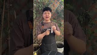 This is the simplest and fastest method of rose cuttings I have tried #rose #cutting #plantingtips