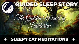 The Golden Wood of Lothlórien - Immersive Guided Sleep Story inspired by The Lord of the Rings