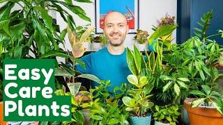 5 Hard To Kill Houseplants For Busy People