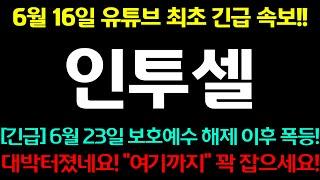 [인투셀] 6월 16일 유튜브 최초 긴급 속보!! 6월 23일 보호예수 해제 이후 폭등!! 대박이다!!