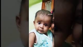 #dhonivikan#shortsfeed#viral#shorts#cutiepie #trending#shortsvideo