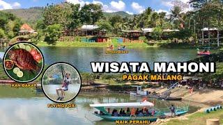 WISATA MAHONI DEMPOK PAGAK MALANG