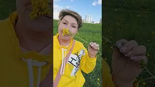 по полю‍️