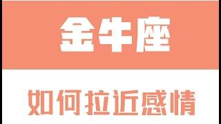 「陶白白」如何拉近跟金牛座的感情：金牛座需要的是主動