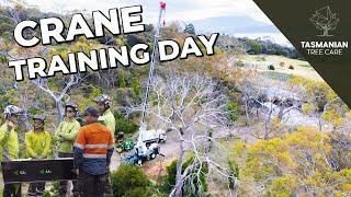 CRANE TRAINING FOR TREE REMOVAL