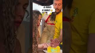 EL PERRITO: EL DIABLO 