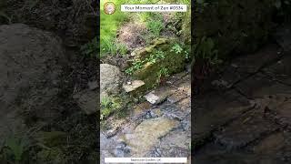 ScienceMan Moment of Zen 0534 #peaceful #hike #walk #cotswolds #uk #waterfall #garden #asmr