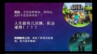 对所有投资者最最重要的警告！没有之一 ！此时不买特斯拉，英伟达，不买美股，更待何时！人生能有几回博！欧洲股市上天大揭秘！