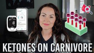 Shocking Lessons from 90 Days Tracking Blood Ketones