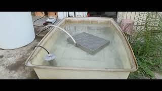 Granbosonic Immersible Ultrasonic Cleaner