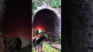 Ghost trying to stop the train #vfx #shorts #viral #trending