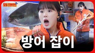 We went on a hunt for winter yellowtail| Norangjin Fish Market | Kang Hanna | Workman 2