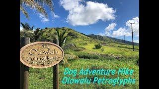 Olowalu Petroglyphs:  Adventure Hike w/ Such Good Dogs.