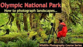 Olympic National Park - Wild Photo Adventures