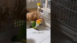 어쩐지 요즘 살 쪘다 했어!