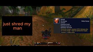 quick and simple feral druid leveling guide & F.A.Q's | Germanicus - Classic WoW